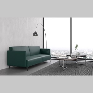 AUM-ZC Minimalist Leather Sofa