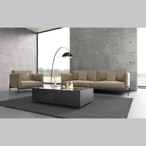 AU-ZC Home Office Hall Fashion Leather Sofa