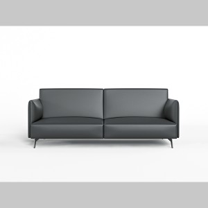 AUM-ZC Minimalist Leather Sofa