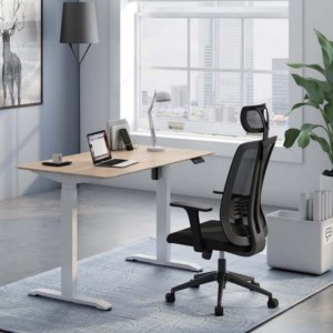 AU-KT Office Single Motor Height Adjustable Workstation Desk