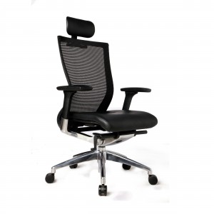 AU-DK BEGIN Series Office Ergonomic Chair