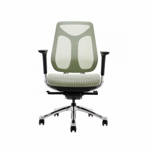 AUM GT Ergonomic Office Mesh Chair Aluminum Feet