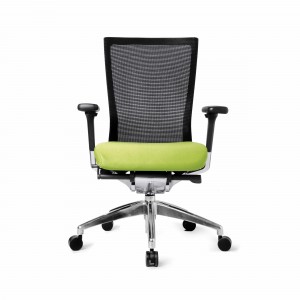 AU-DK BEGIN Series Office Ergonomic Chair