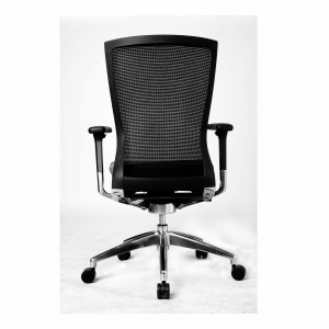 AU-DK BEGIN Series Office Ergonomic Chair