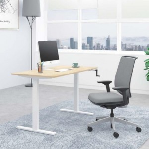 AU-KT Office Single Motor Height Adjustable Workstation Desk