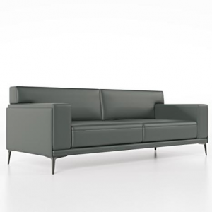 Minimalist Leather Sofa
