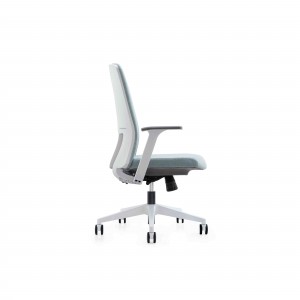 AUM-BN Low Back Color Custom Staff Office Mesh Chair Without Headrest