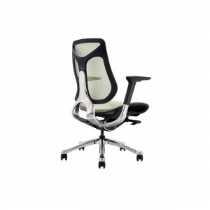 AUM GT Ergonomic Office Mesh Chair Aluminum Feet