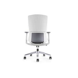 AUM-BN Low Back Color Custom Staff Office Mesh Chair Without Headrest