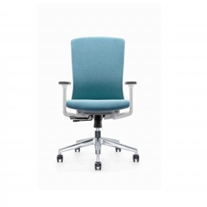 AUM-BN Low Back Color Custom Staff Office Mesh Chair Without Headrest